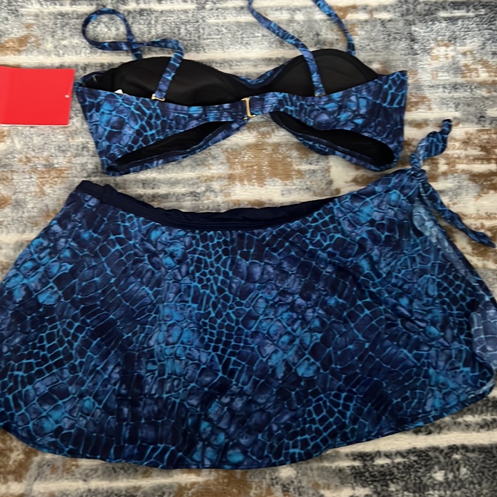 Plus Blue Bikini - Picture 4 of 4